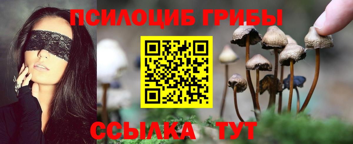 Нефтекамск  Галлюциногенные грибы Cubensis  Псилоцибиновые грибы MAGIC MUSHROOMS  Вход с VPN 